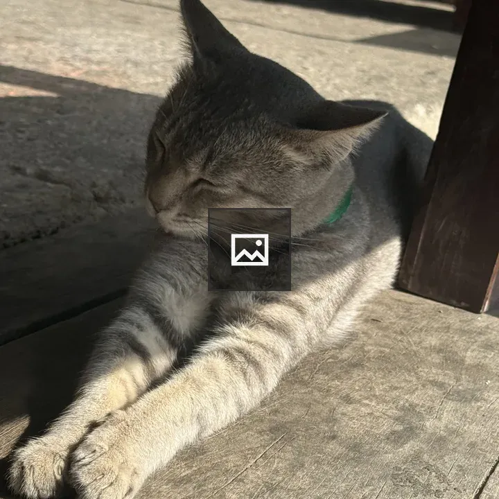 Cat resting by table leg