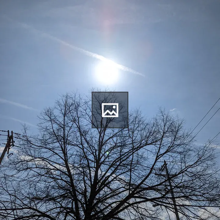 Sunrise Behind Bare Tree