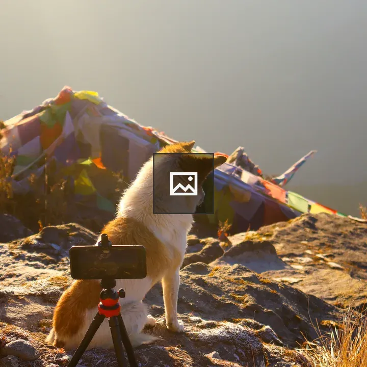Dog on Frosty Mountain Ledge