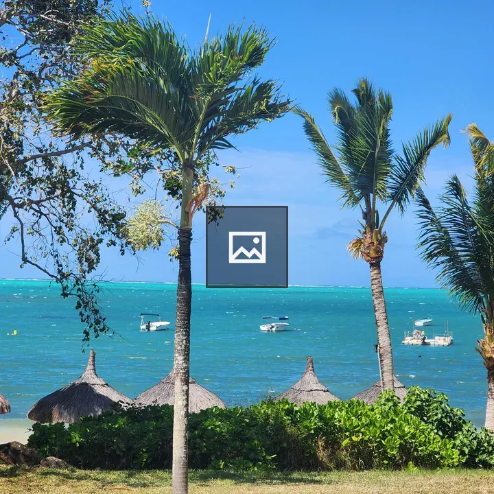 Beach with palm trees and boats