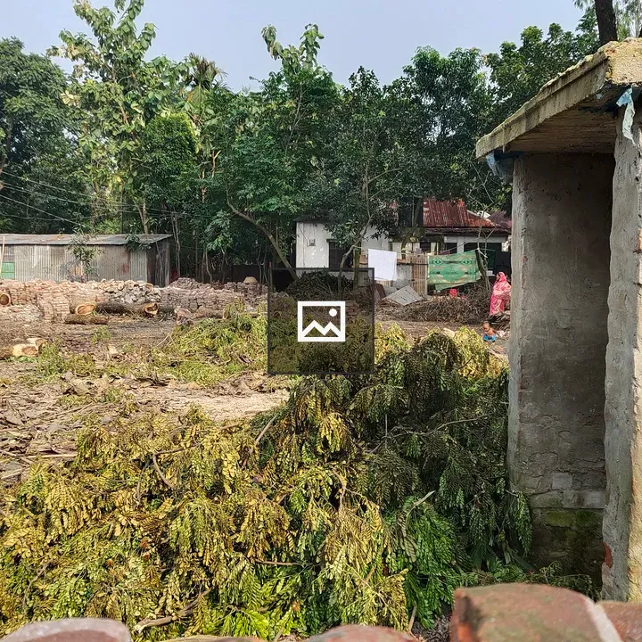 Rural scene with trees and buildings