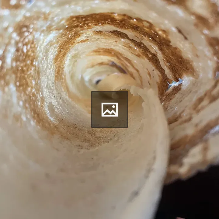 Inside dosa pastry