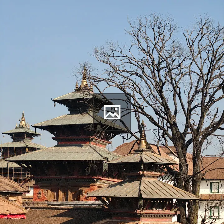 Pagoda-style Buildings View