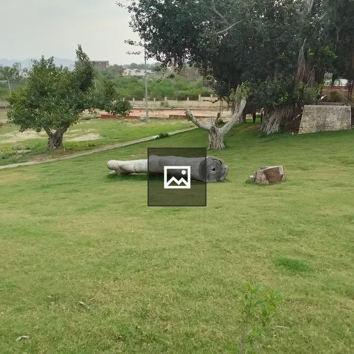 Serene park with felled tree