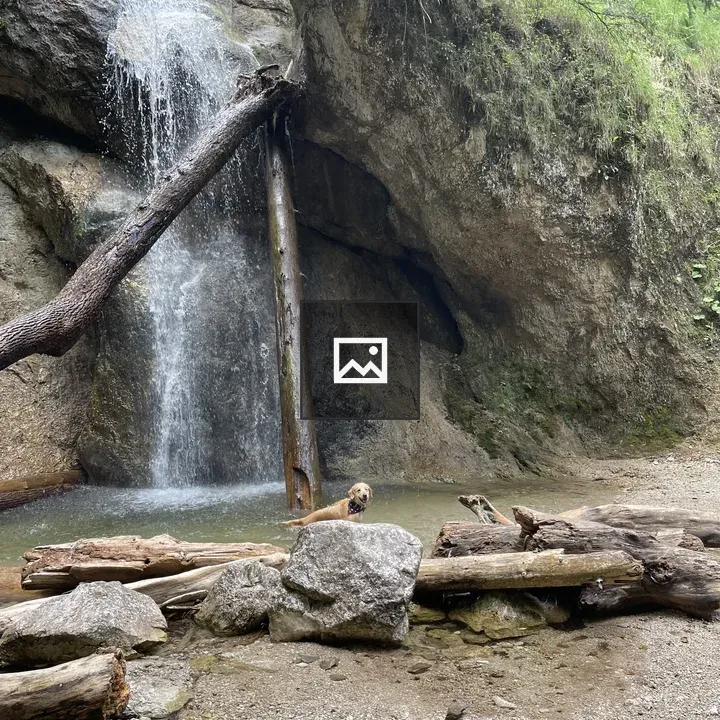 Waterfall with Retriever on Rocks