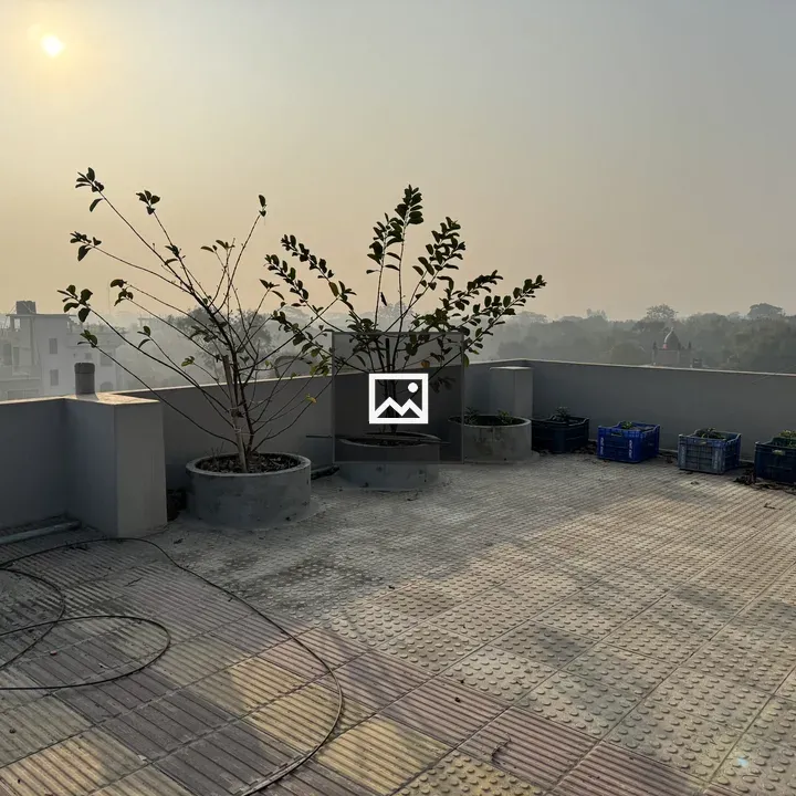 Rooftop garden with potted plants
