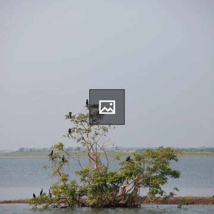 Tanguar Haor Landscape