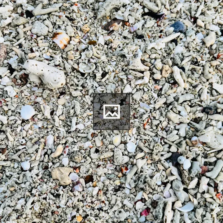 Top-Down Beach Texture with Coral and Pebbles