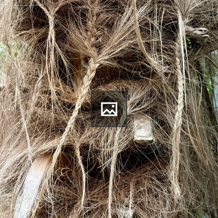 Fibrous palm bark close-up