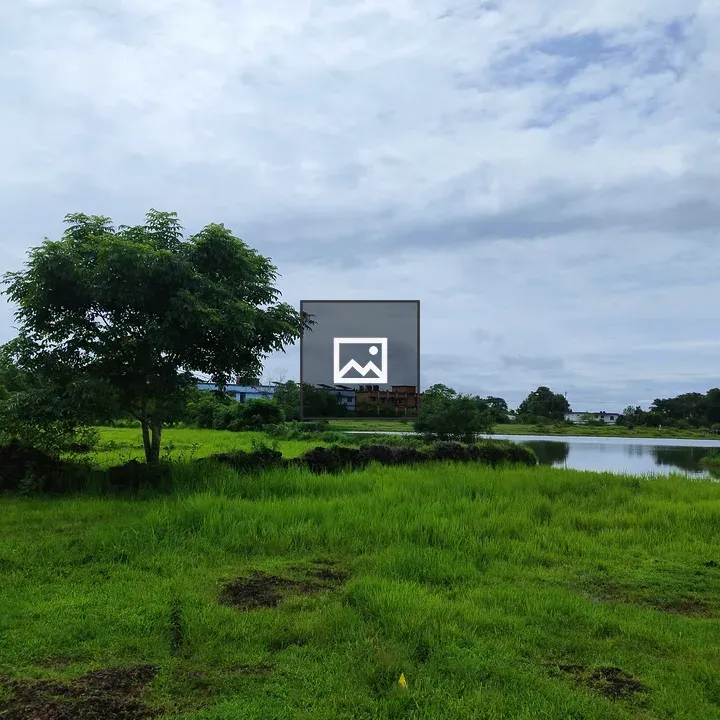 Tree and Pond in Grassy Field