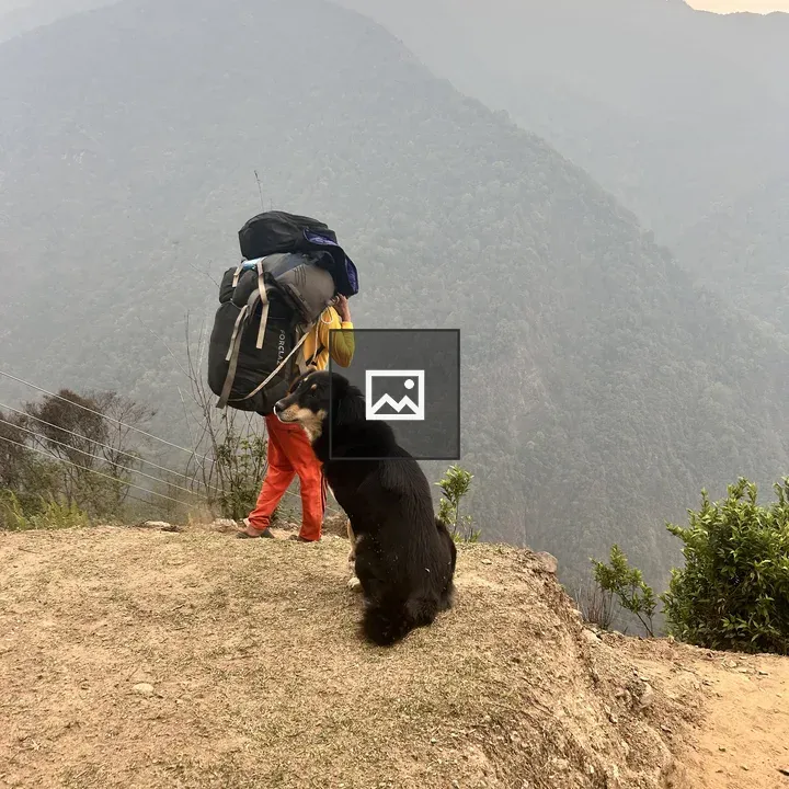 Dog on hill with hiker