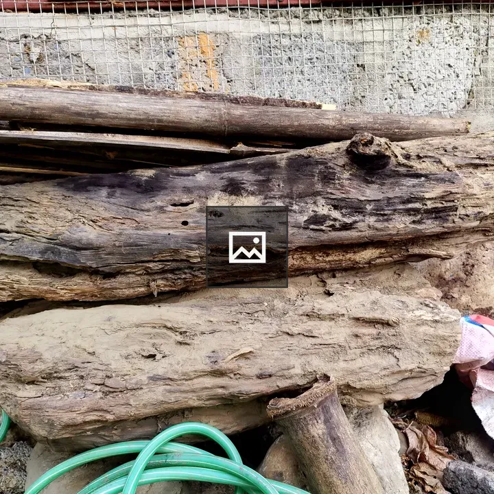 Stack of Wood Against Gray Wall