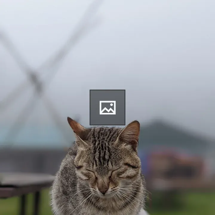 Cat in Himalayan Range
