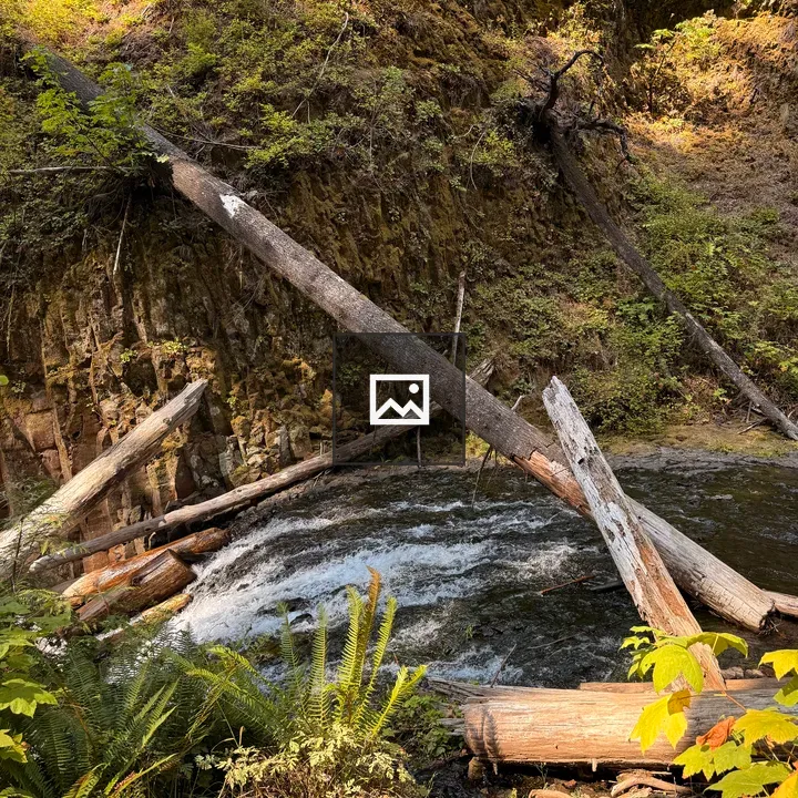 Forest Stream Cascade