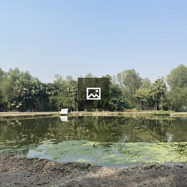 Pond with reflections and lilies