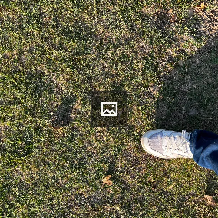 Feet in sneakers on grass