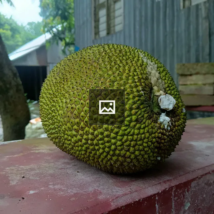 Jackfruit on Weathered Red Surface