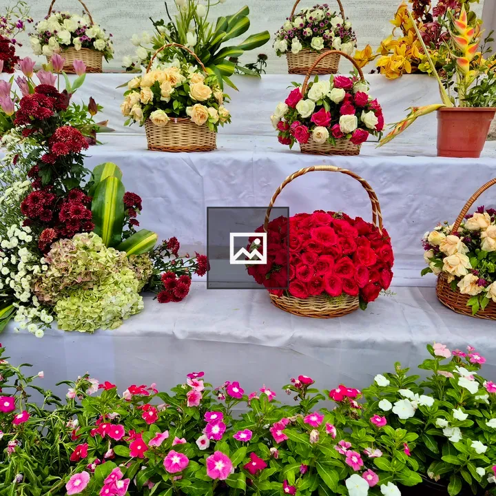 Flower arrangements with colorful blooms