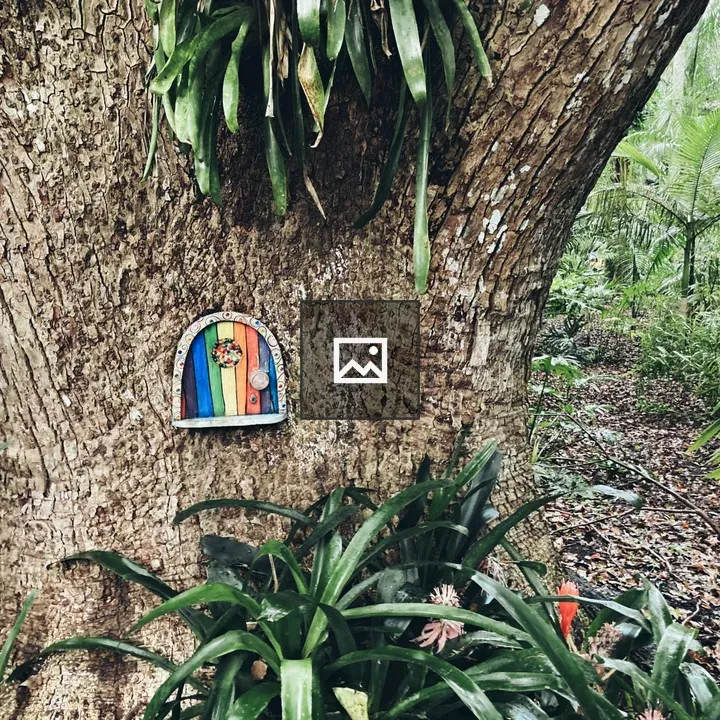 Fairy door on live oak