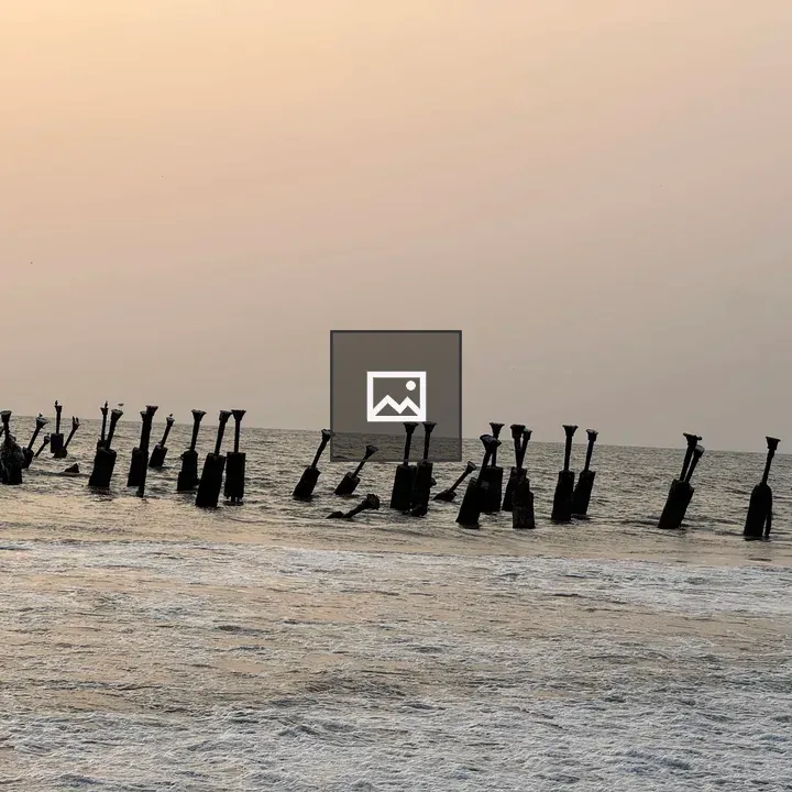 Weathered pilings at a calm beach