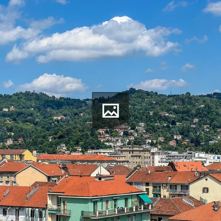 Mountains Over Torino Rooftops