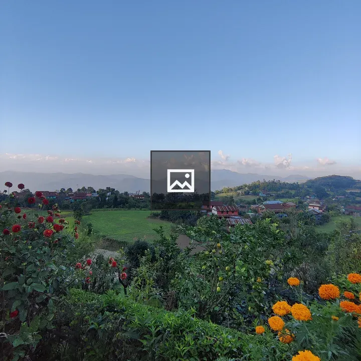 Flowers in green field with mountains