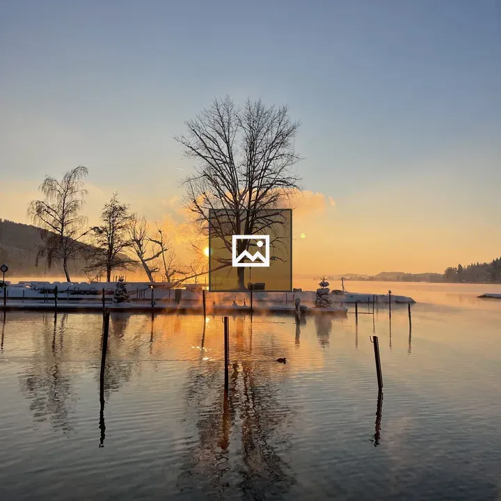 Leafless Tree Sunset Lake