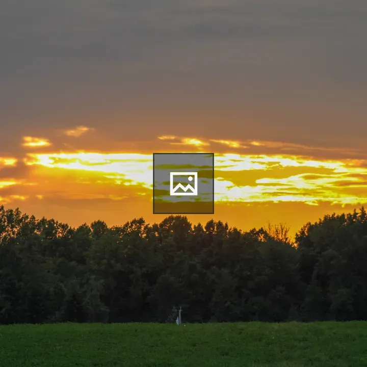 Sunset Over Apple Orchards
