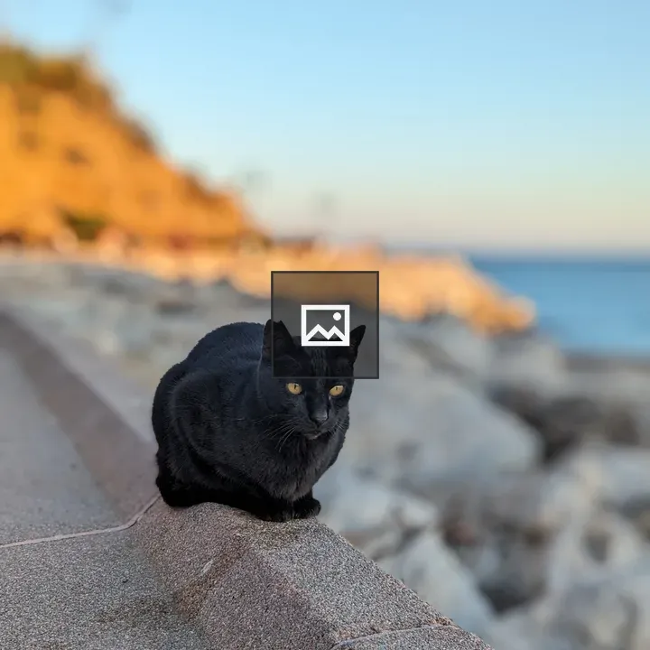 Black cat on cement wall