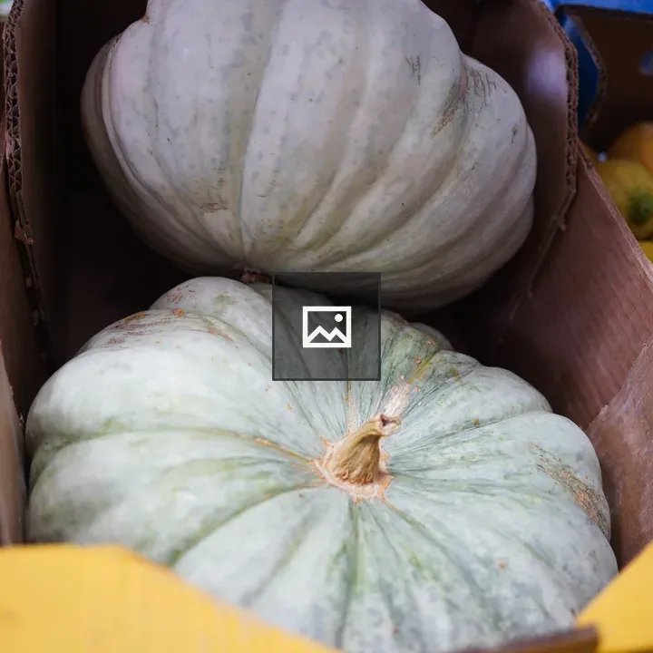 Crate of pumpkins