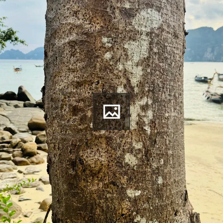 Weathered tree bark and coastal view