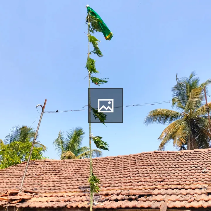 Flag atop tall pole with building backdrop