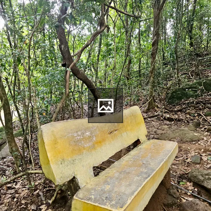 Old yellow bench on forest trail