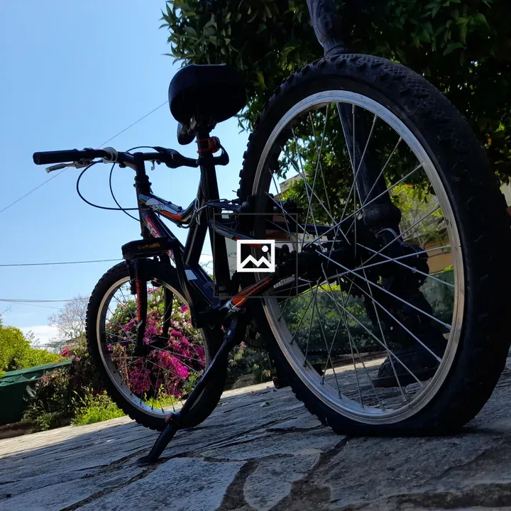 Bike Tire Flat in Landscape