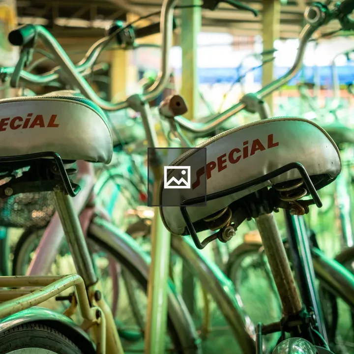 Rental bike seats in Sukothai
