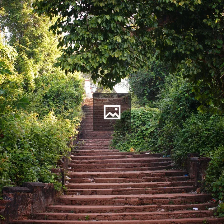 Staircase with trees on both sides