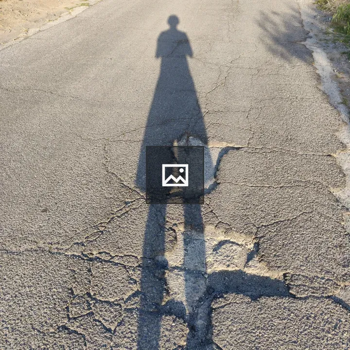 Shadow on the Road