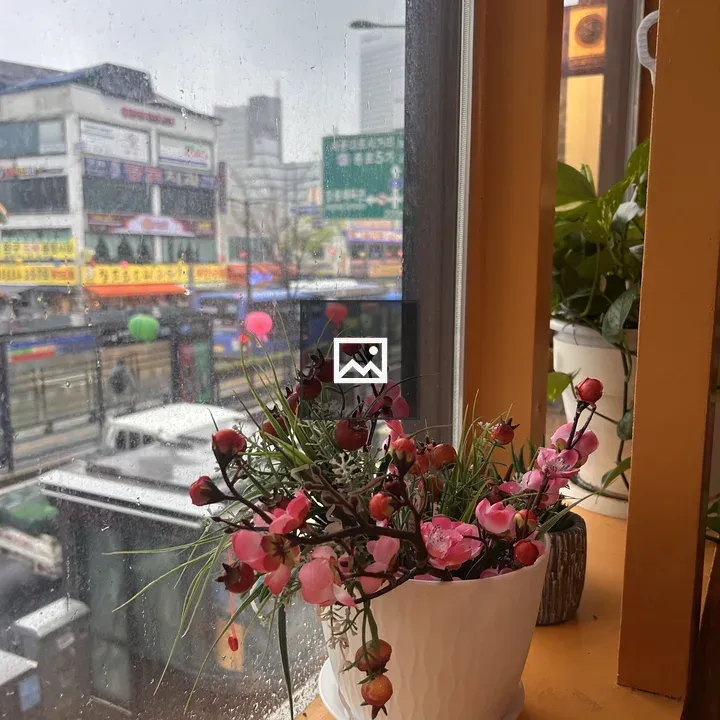 Decorative flower pot on windowsill