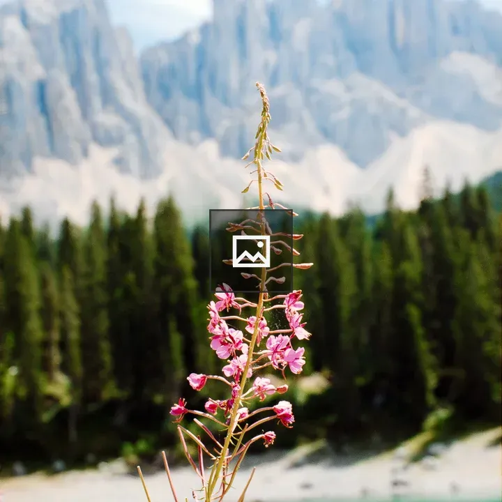 Purple flower by lake and mountains