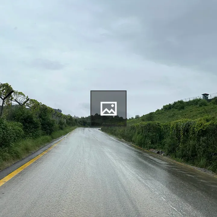 Wet Road with Greenery and Fence