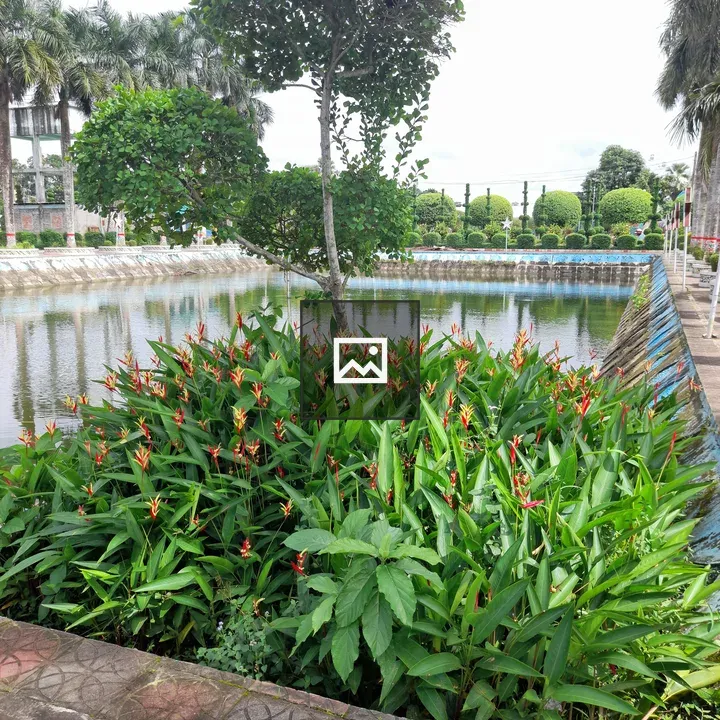 Lush garden with orange flowers