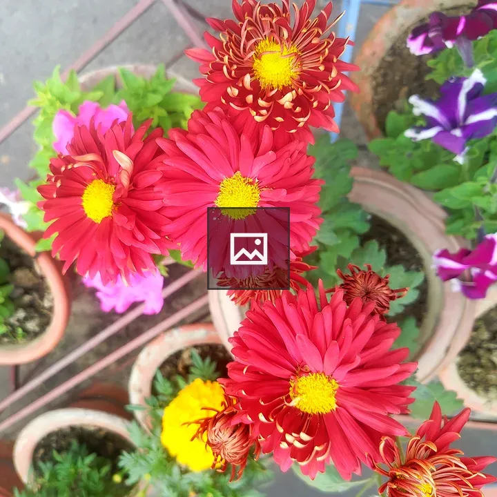 Red Flower Ring Arrangement