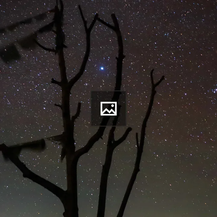 Starry Sky with Constellation