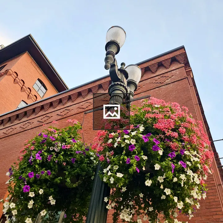 Street lamp with flower baskets