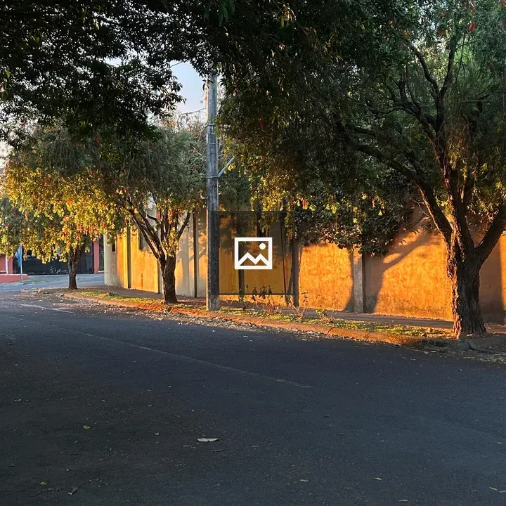 Quiet Asphalt Street at Sunset