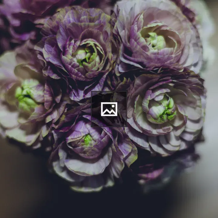 Purple flowers in garden