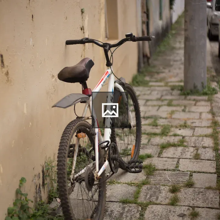 Bicycle in the street