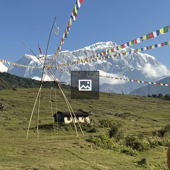Traditional swing with mountain background
