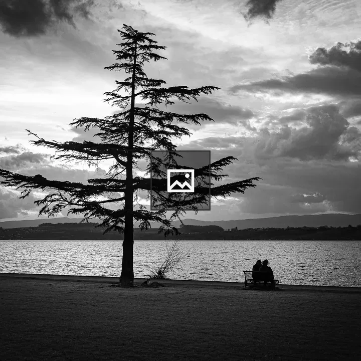 Tree with Bench by Lake Murten
