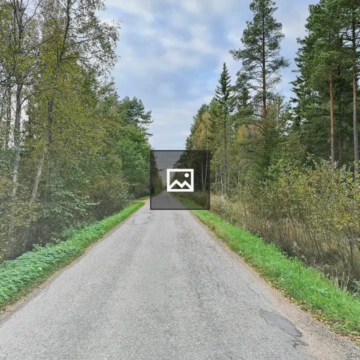 Country Road Scene